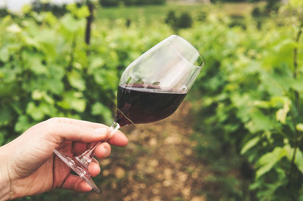 mano con bicchiere di vino barbera