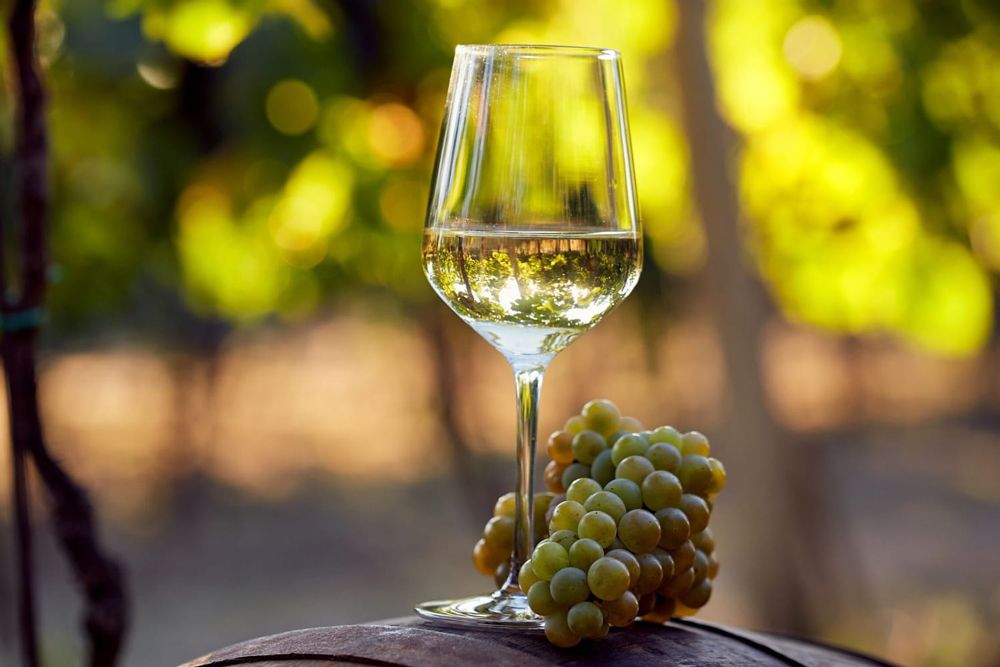bicchiere di malvasia con grappolo d'uva su una botte in legno