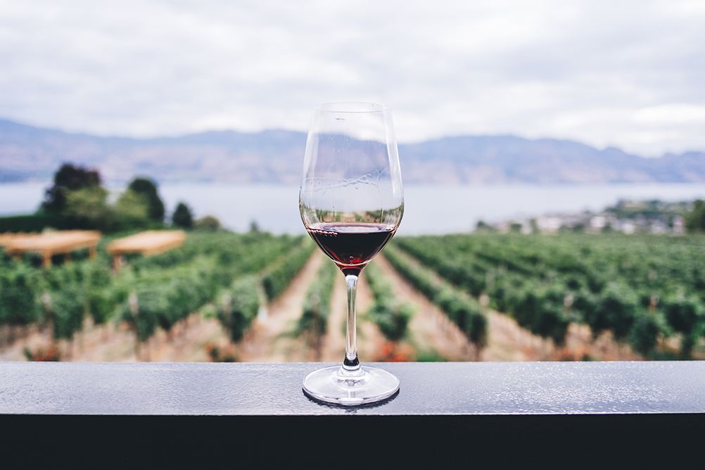 bicchiere di vino rosso su un terrazzo con i vigneti nello sfondo